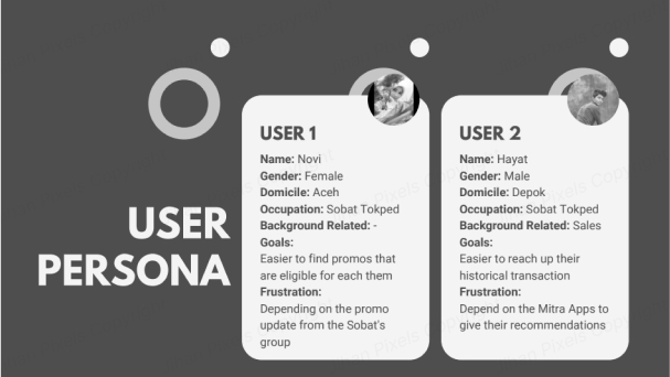 User Persona